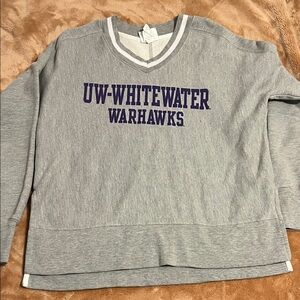Champion Gray V-Neck Sweater with Purple Print